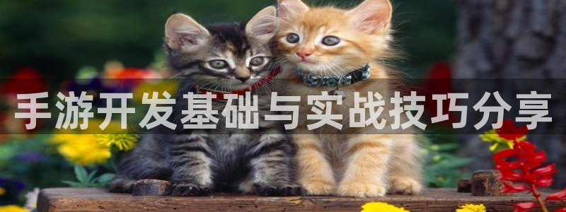 巅峰国际