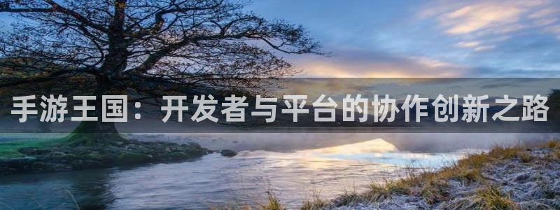 巅峰国际app：手游王国：开发者与平台的协作创新之路