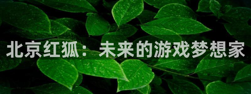 巅峰国际登录：北京红狐：未来的游戏梦想家