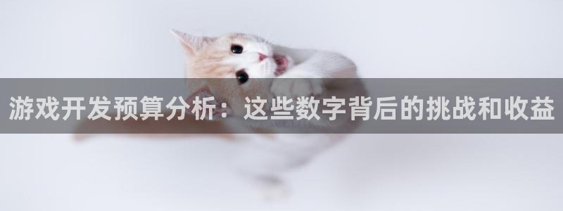 巅峰国际注册：游戏开发预算分析：这些数字背后的挑战和收益