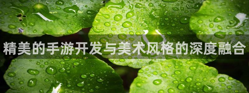 巅峰国际app：精美的手游开发与美术风格的深度融合