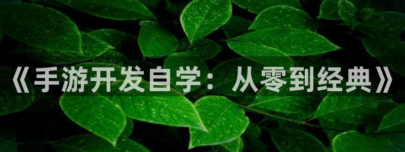 巅峰国际注册：《手游开发自学：从零到经典》