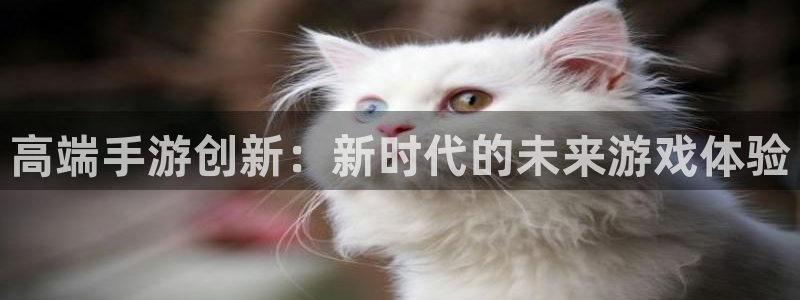 巅峰国际app：高端手游创新：新时代的未来游戏体验