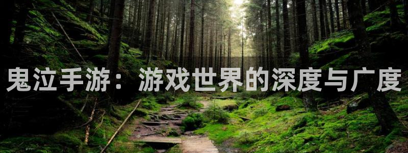 巅峰国际注册:鬼泣手游:游戏世界的深度与广度