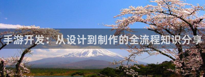 巅峰国际注册:手游开发:从设计到制作的全流程知识分享