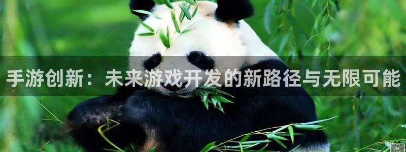 巅峰国际登录:手游创新:未来游戏开发的新路径与无限可能