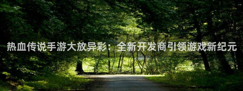 巅峰国际下载：热血传说手游大放异彩：全新开发商引领游戏新纪元