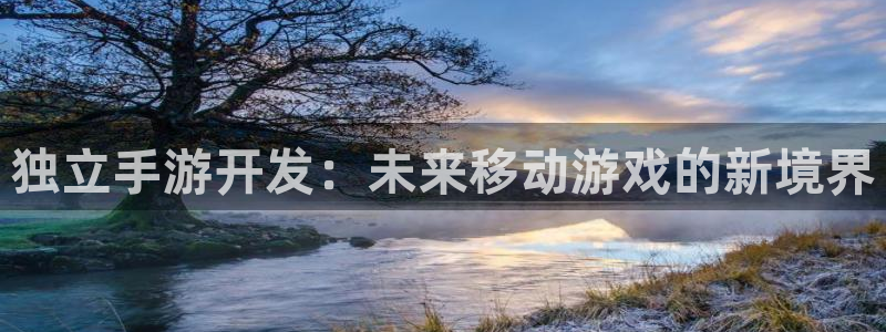巅峰国际官网：独立手游开发：未来移动游戏的新境界