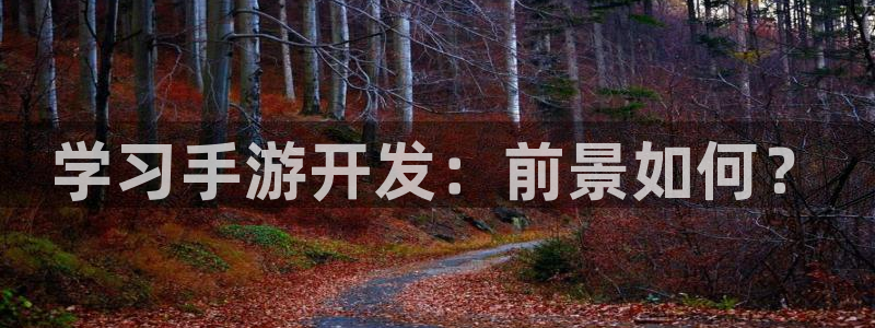 巅峰国际首页：学习手游开发：前景如何？