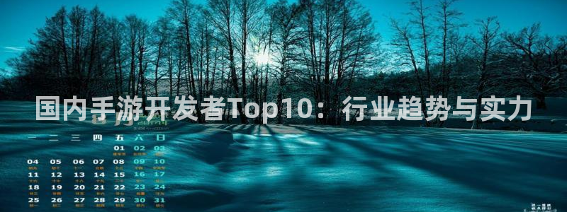 巅峰国际登录：国内手游开发者Top10：行业趋势与实力