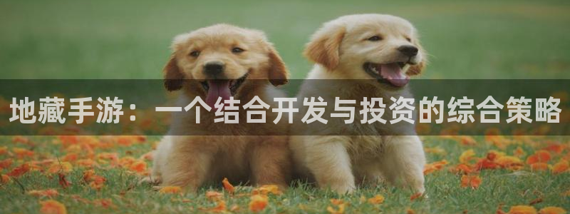 巅峰国际官网：地藏手游：一个结合开发与投资的综合策略