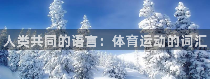 bbin视讯：人类共同的语言：体育运动的词汇