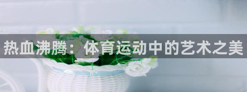 bbin视讯：热血沸腾：体育运动中的艺术之美