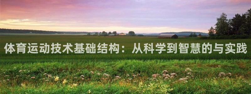 bbin视讯下：体育运动技术基础结构：从科学到智慧的与实践