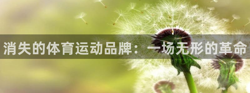 bbin视讯下：消失的体育运动品牌：一场无形的革命