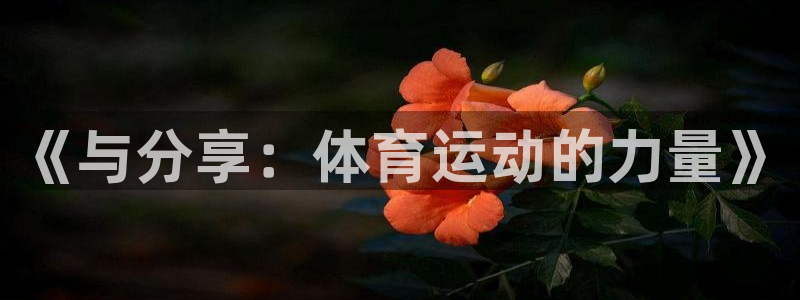bbin视讯游戏平台：《与分享：体育运动的力量》