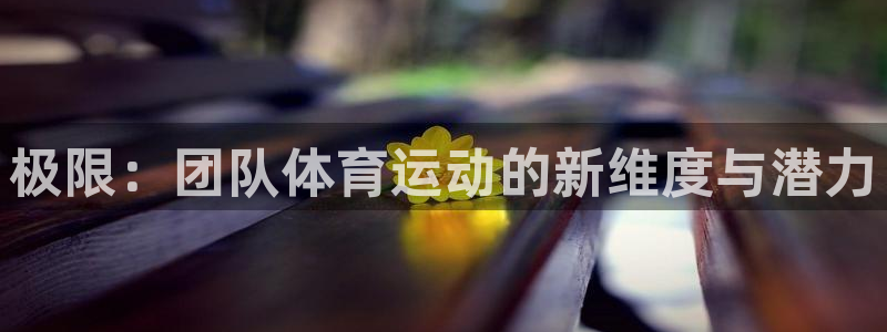 bbin视讯下：极限：团队体育运动的新维度与潜力