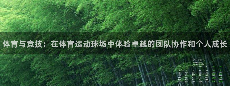 bbin视讯：体育与竞技：在体育运动球场中体验卓越的团队协作和个人成长