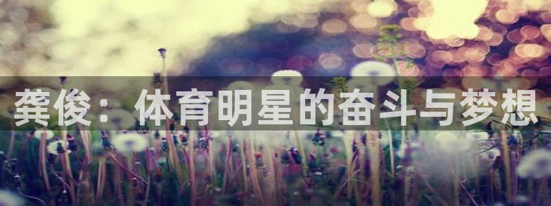 bbin视讯：龚俊：体育明星的奋斗与梦想